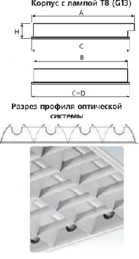 �������. �����